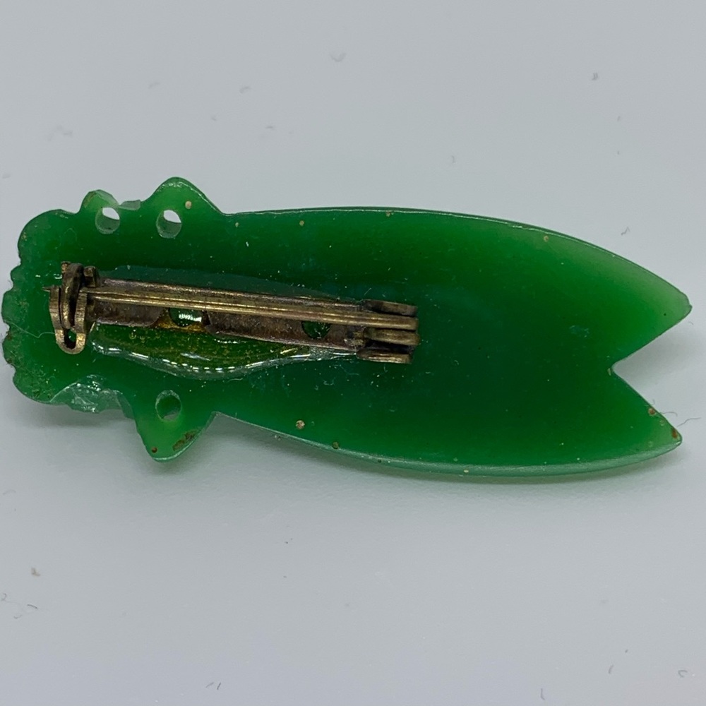 1920’s Celluloid Cicada Bug Brooch View 2